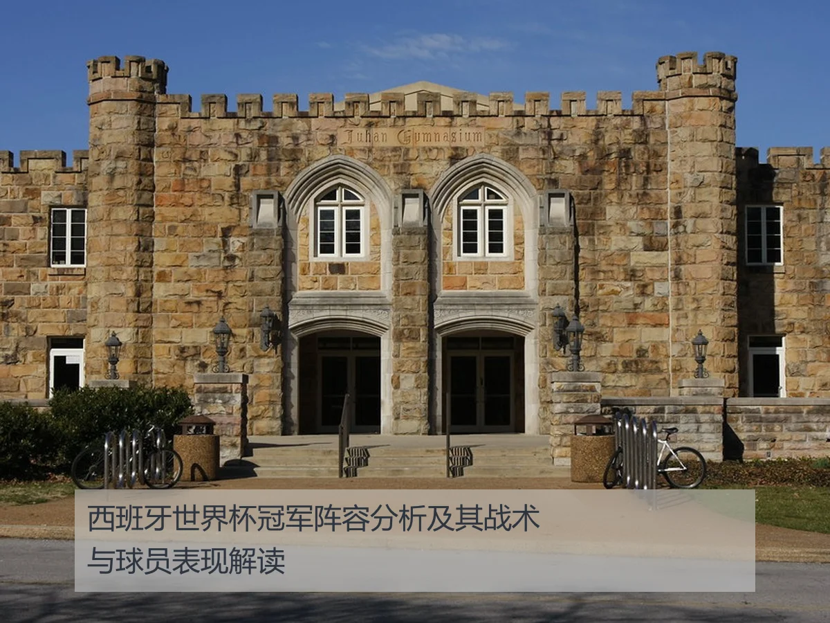 西班牙世界杯冠军阵容分析及其战术与球员表现解读